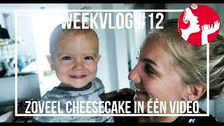 Weekvlog 12 ZEIKNAT GEREGEND amp ZÓVEEL CHEESECAKE  OhMyFoodness [upl. by Adnawal]