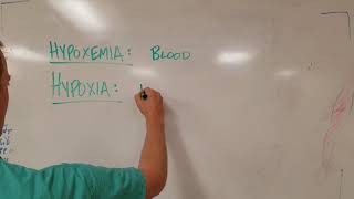 Hypoxia vs Hypoxemia Know the Difference [upl. by Arnoldo]