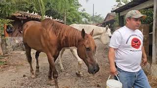 Noticias de Betito el niño de las colmenas  Feliz día del Maestro desde Rancho el Andén [upl. by Benedicta]