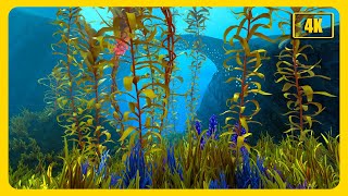 Relaxing Ambience of Subnautica Below Zero  Arctic Kelp Forest Biome [upl. by Shela]