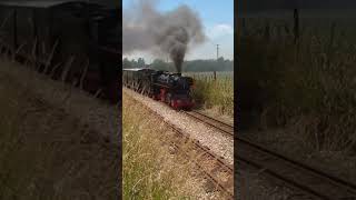 quotBlack Princequot along Dymchurch Straight on the RHDR short steamtrain railway narrowgauge shorts [upl. by Altis138]