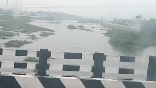 Vaikai River Madurai nature love youtube youtubeshorts youtubeshortyoutuber [upl. by Niels]