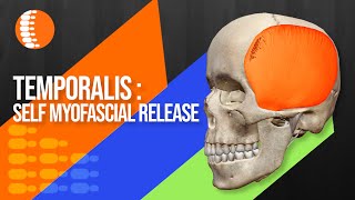 How can I myofascial release my temporalis muscle jawTMJ [upl. by Ecissej845]