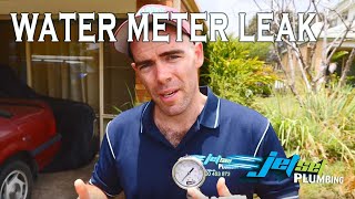 How to Check for Water Meter Leaks  Water Meter Leak Indicator [upl. by Takashi]