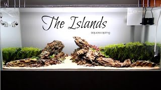 Aquascaping THE ISLANDS [upl. by Ssepmet]