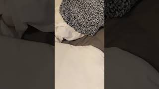 Sharper image pillow  product review Godislove Light Life bornagainTIs gangstalking Yeshua [upl. by Shaffert]