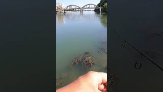 Fishing in isleton bassfishing bayareafishing largemouthbass lovefishing rapalafishing [upl. by Pitzer]