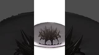 Ferrofluid is crazy [upl. by Bea]