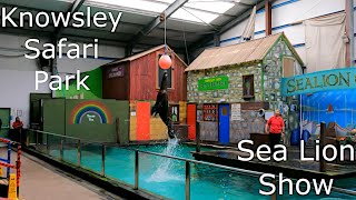 FULL SEA LION SHOW at Knowsley Safari Park [upl. by Pilar786]