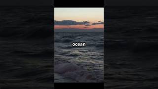 Our Oceans Are Dying Acidic oceans a silent threat facts shorts ocean [upl. by Etteuqram642]