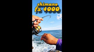 Shimano fx 4000  en acción [upl. by Navis868]