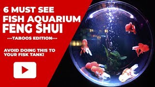 How to Avoid Bad Fish Aquarium Feng Shui To Attract Better Luck [upl. by Ettenna381]