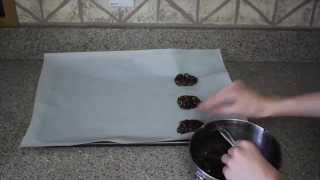 Double Chocolate Oatmeal Cookies GF [upl. by Towill]