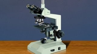 Light Microscope  Amrita University [upl. by Retsek254]