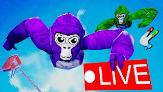 Fan Lobbies with TTT  Gorilla Tag Livestream [upl. by Laerol240]