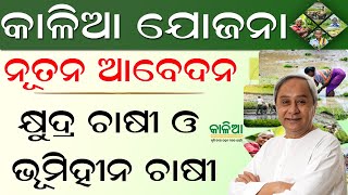 Kalia Yojana online apply 2023  How to apply Kalia Yojana online 2023  Bhumi hina Kalia Yojana [upl. by Mathre]