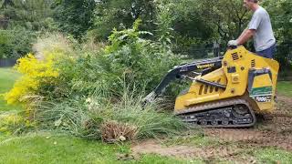 How to Remove Ornamental Grasses [upl. by Tavy348]