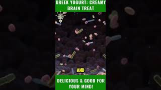 🥄 Greek Yogurt The Creamy Brain Treat You Need 🧠✨ BrainFuel [upl. by Netti]