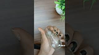 DIY small glass water for plant art craft aizwal minivlog ytshorts yt glasspainting plants [upl. by Amitie853]