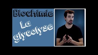 Cours de biochimie Glycolyse [upl. by Thibaut]