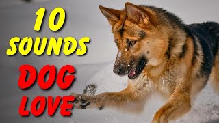 10 SOUNDS Dogs LOVE To Hear The Most [upl. by Kee]