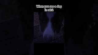 When you see a dog in rdr2rdrrdr2 [upl. by Elnora72]