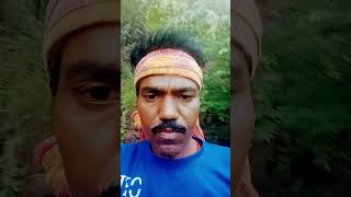 Ajay Prasad Chandravanshi Sunny Deol dialogue ab Ghar ki bahar aao [upl. by Stambaugh]