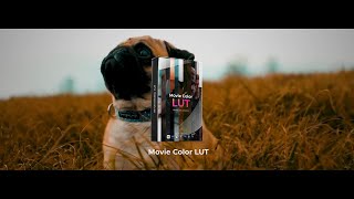 Movie Color LUT pack  CapCut After Effects Premiere Pro Fcp DaVinci Resolve and More [upl. by Aubrette]