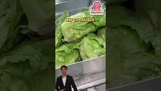 Secrets of the Korean Food Factory  Part 1 LargeScale Lettuce Production happyfactory shorts [upl. by Nwatna114]