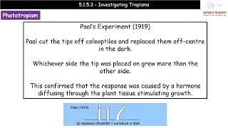 A Level Biology  5153  Investigating Tropisms [upl. by Ormond161]