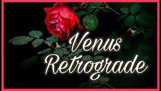 Venus Retrograde in Birth Chart  How Can I Love When Im Afraid to Fall [upl. by Puff704]