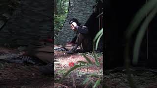 Solo camping bersantai di hutan solocamping bushcraft survival latihanperang [upl. by Oinimreh]