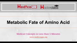 Metabolic fate of amino acid [upl. by Pihc]