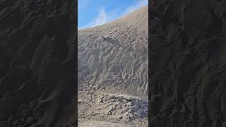 Sand Dunes Surfing Gone Bad deathvalley sanddunes familyfun [upl. by Aihsoek]