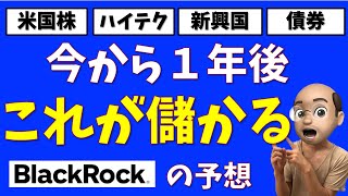 今から１年後はこれが儲かる【BlackRockの予想】 [upl. by Buehler]