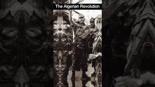 The Algerian Revolution Independence from French Colonialism [upl. by Anwahsat707]