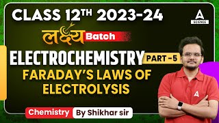 Class 12 Chemistry  Electrochemistry  Faraday’s Laws of Electrolysis [upl. by Joaquin307]