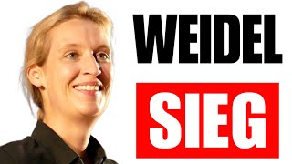 Eilnachricht…Weidel AfD Hammer Wahl [upl. by Eggleston]