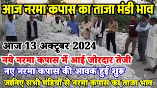 नरमा कपास के भाव 13 अक्टूबर 2024 नये नरमा कपास में आई जोरदार तेजी Narma kapas ka bhav cotton rate [upl. by Neural632]