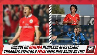 Notícias Craque do Benfica regressa após lesão ● Mais um jogador perto da saída [upl. by Nirej]