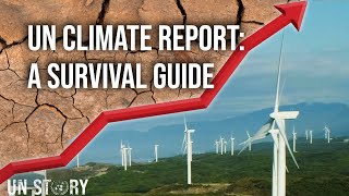 How to defuse the climate timebomb  UN Report [upl. by Ynnavoj]