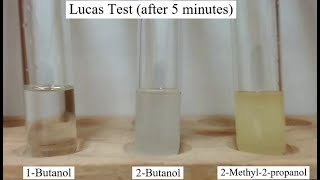 Lucas Test for Alcohols [upl. by Rfinnej]