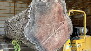 Salvaging a 48” wide Black Walnut Tree [upl. by Atnoid]