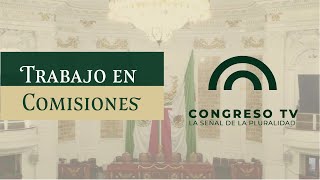 🔴 EnVivo  Primera Sesión Ordinaria de la Comisión Registral Notarial y  21 de Octubre de 2024 [upl. by Paddie]