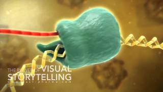 Hepatitis B Treatment Mode of Action Animation [upl. by Taub799]