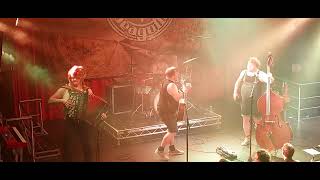 Steve n Seagulls  Thunderstruck live in Dublin [upl. by Enahsed]