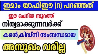 ഈ സൂറത്ത് പതിവായി ഓതുന്നവർക്ക് മാരകമായ അസുഖം വരില്ല surath quraish benefits problems and Solution [upl. by Procora]