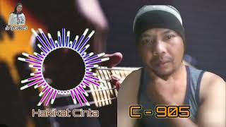 Hakikat Cinta  Cover karaoke By C  905 [upl. by Micheil]