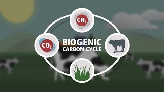 Biogenic Carbon Cycle [upl. by Adnalro]