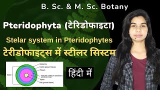 Pteridophyta  Stelar system in Pteridophytes टेरीडोफाइट्स में स्टीलर सिस्टम  हिंदी में [upl. by Ricard]